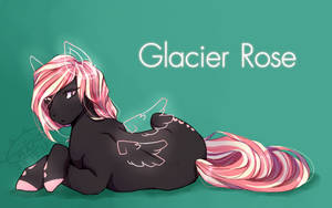 Glacier Rose