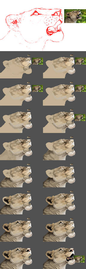 Lioness Head/Step-by-step