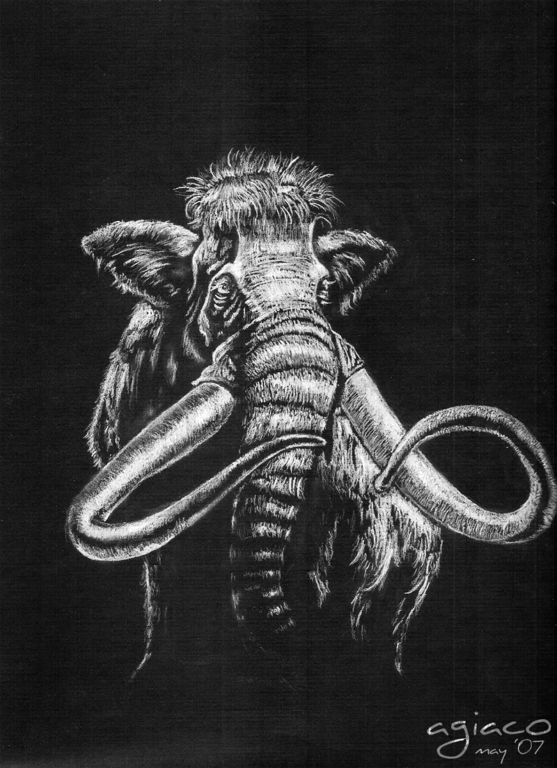 mammoth drawing