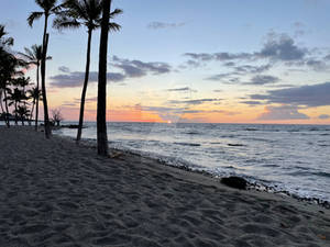 Waikoloa, HI - September 22, 2025 - 2