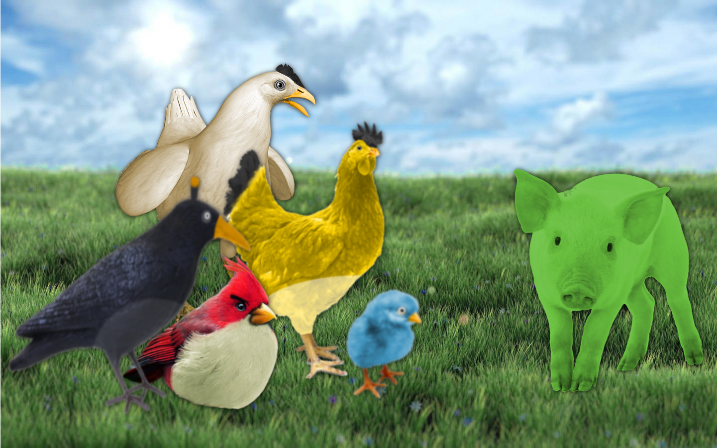 Angry Birds - REAL by Camil1999 on DeviantArt