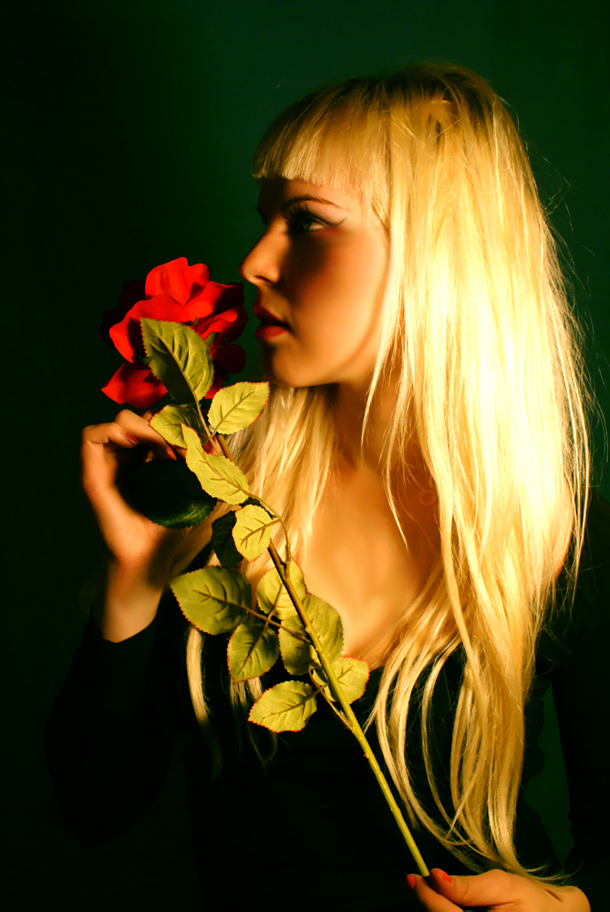 Red Rose