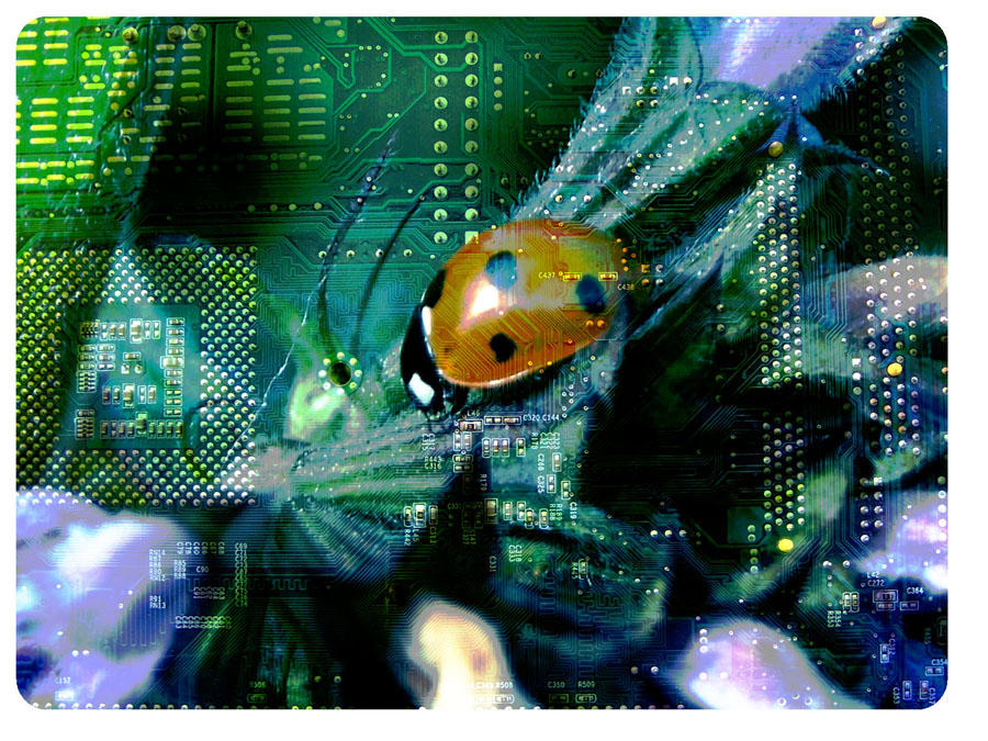 Computer bug by Frenchyart on DeviantArt