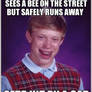 Bad Luck Brian