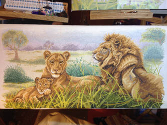 African Lions