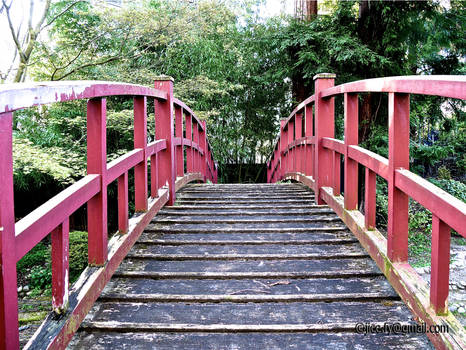 Albert Kahn's garden (France) red bridge in wood 2