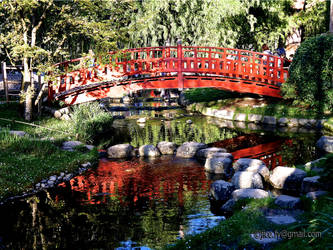 Albert Kahn's garden (France) red bridge in wood 3