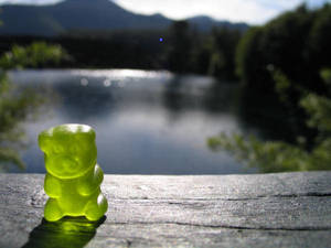 gummy bear