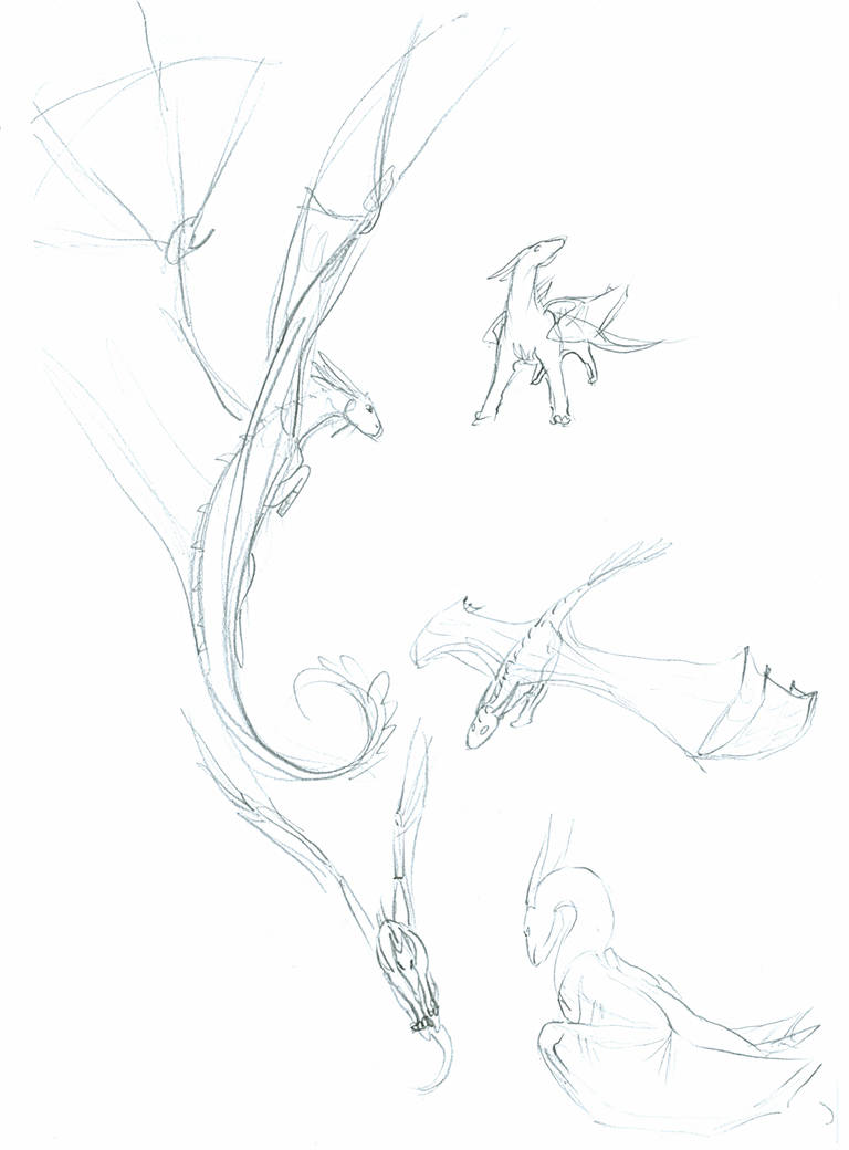 flying dragons by basangi on DeviantArt