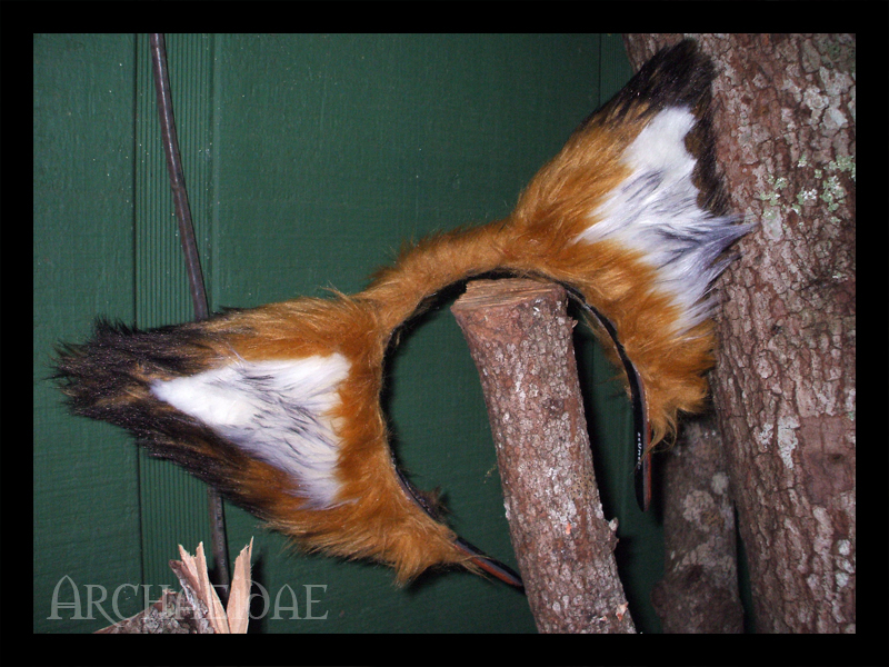 Red Fox Ears