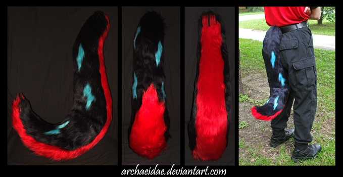 Commission: Tripp Tail