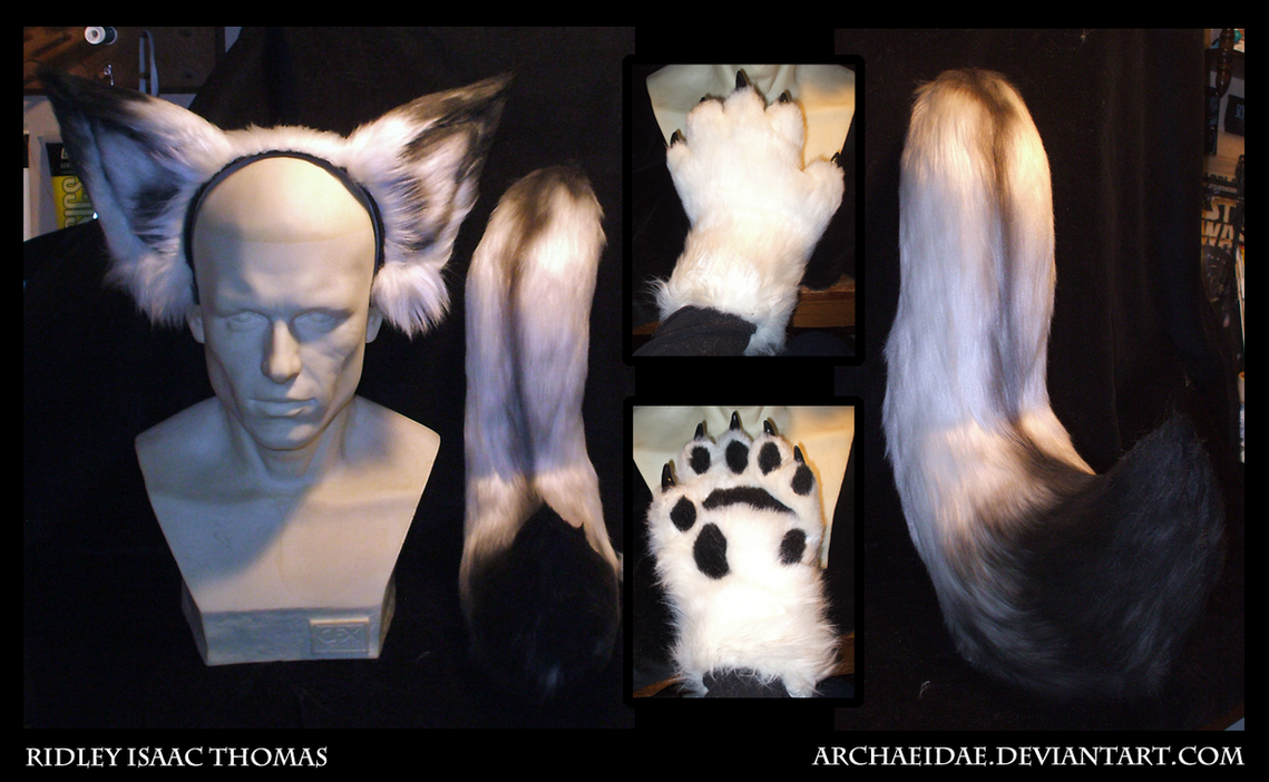 Commission: Arctic Fox Set