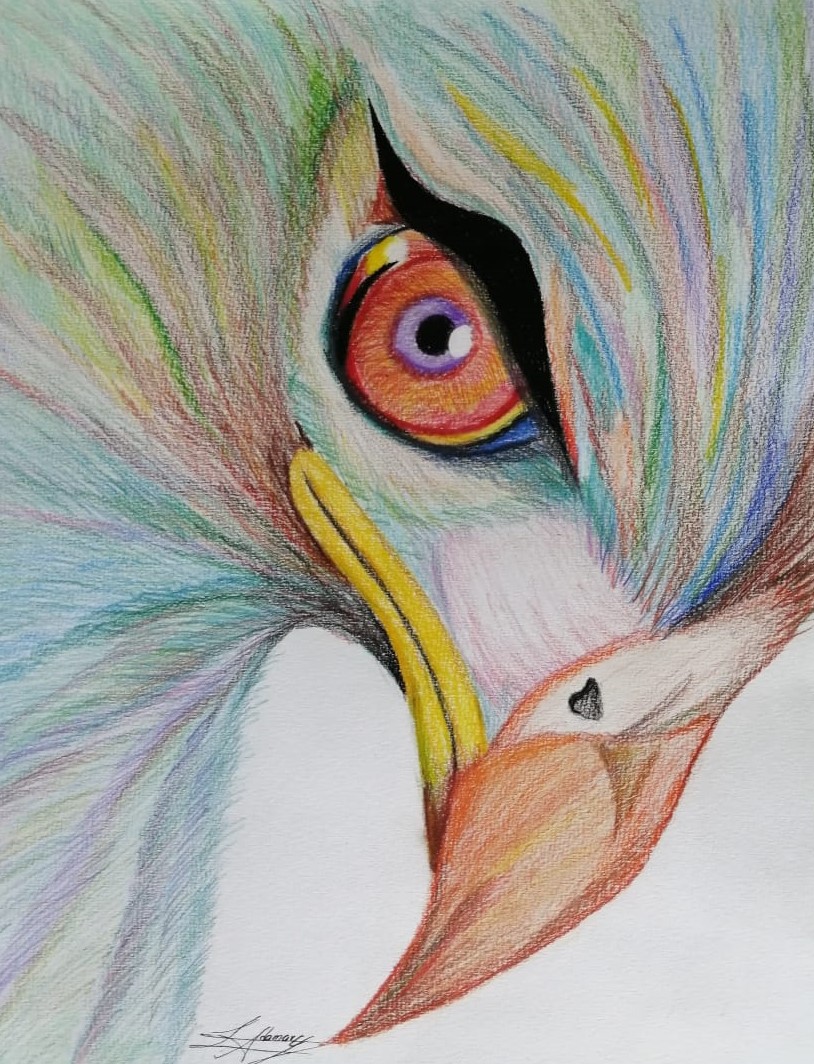 Aguila de colores by Adamary09 on DeviantArt