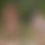 Dominika Zlata - Enjoying The Nature-47