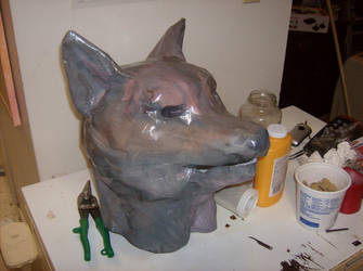 Foxhead