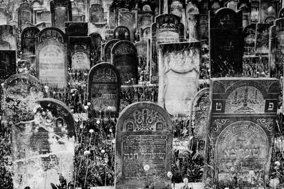 Jewish cemetery in Czeladz