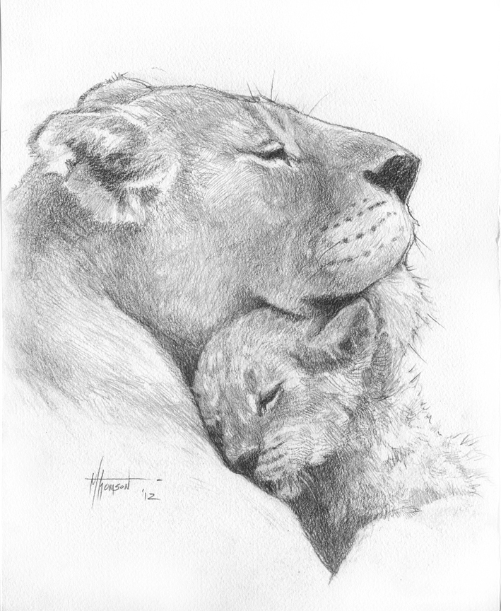 Lion Love