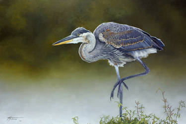 Great Blue