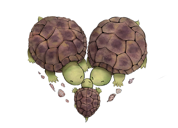 Сердце черепахи поделено на два. Черепаха с сердечком. Сердце из черепашек. Сердце черепахи поделено на.