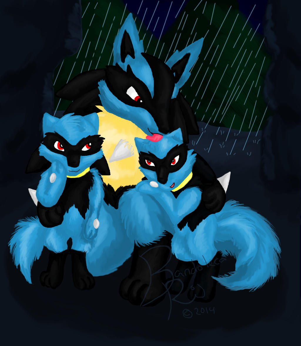 Lucario and Riolu by BandoleraRoja on DeviantArt
