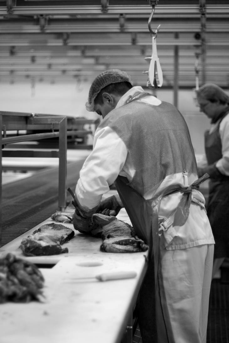 Deviantart Meat Factory Meat by AllStars3 on DeviantArt