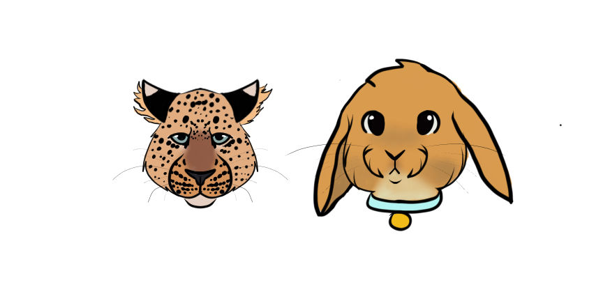 Leopard And Rabbit Practice by VeganEmpress on DeviantArt