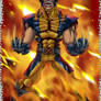 WOLVERINE ON FIRE