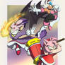Amy, Blaze and Rouge