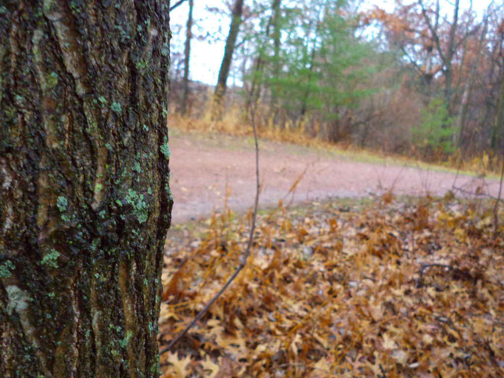 hidden path by SwireMau5 on DeviantArt