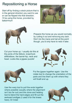 Reposition a horse tutorial