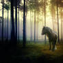 Forest Pony