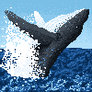 Whale