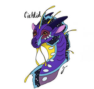 Cichlid (Gift)