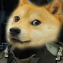 Isaac the shibe