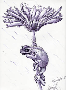 Inktober day 4 Frog for a friend