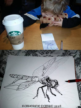 Inktober Day 6 Wip Dragonfly