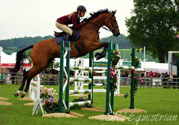 Show Jumping Horse