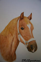 Horse Painting