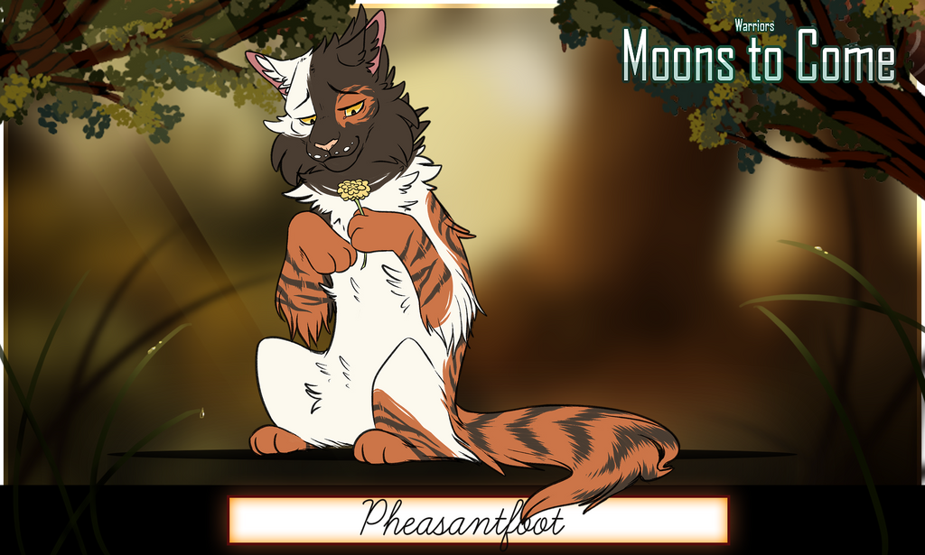 MtC - Pheasantpaw App