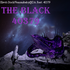 The Black 40379