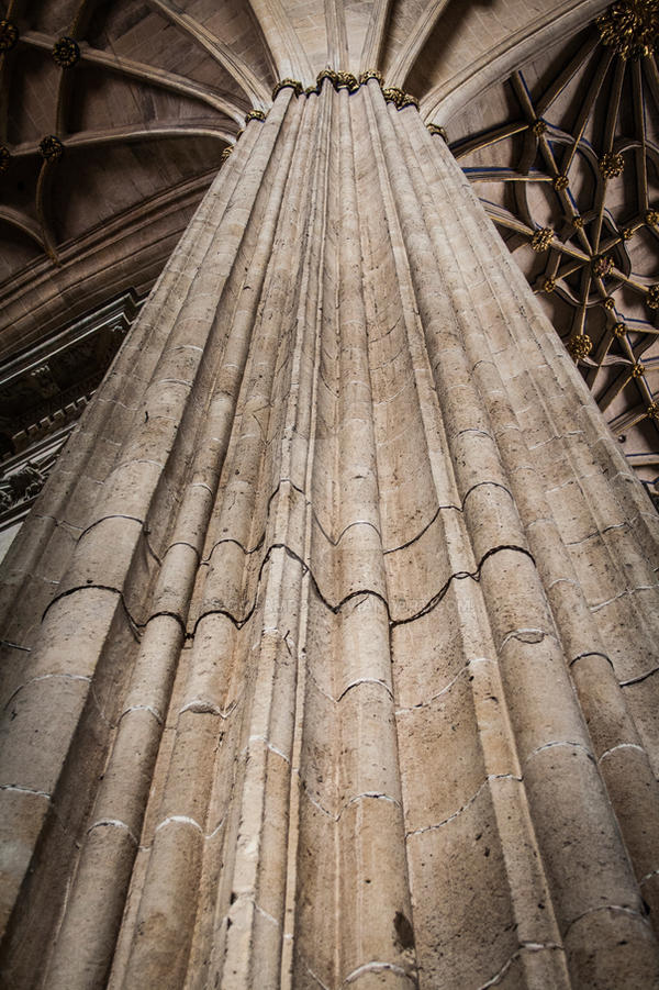 Pillar of the Salamanca Cathedral