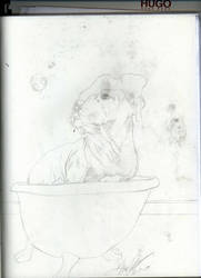 Doggy Dogg Tub