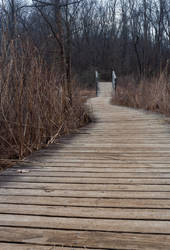 Boardwalk