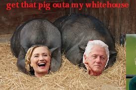 hilary bout as smart as a pig forreal,,,,,,