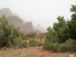 Fisher towers in the fog