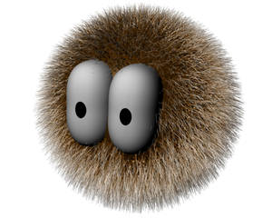 Hairy Puffball. Heh heh