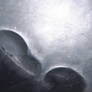 Grey tone of Life