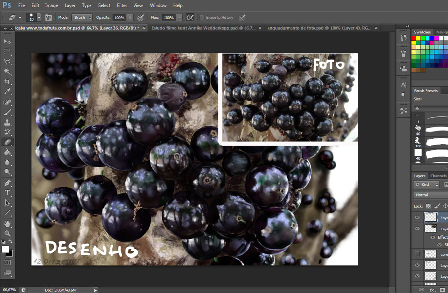 Jabuticaba W.I.P.