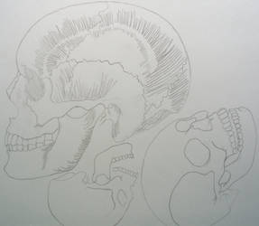 Skulls