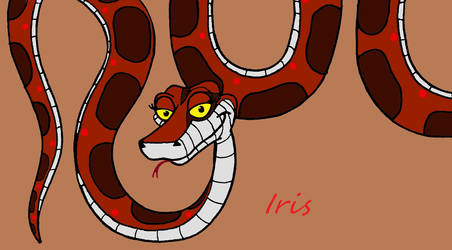 Iris the African Rock Python